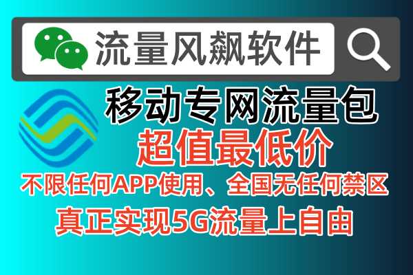 移动手机号码专网流量包充值，尽在流量风飙软件
